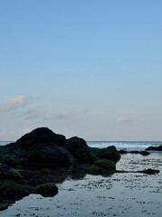 beachscape with wave and rock