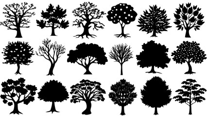 Set of forest and park trees, Big set of minimal trees