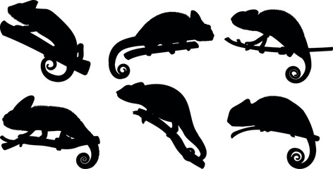 Chameleon silhouettes vector illustration set © Ascreator