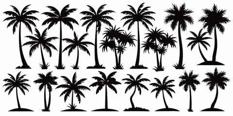 Obraz premium Tropical palm trees set silhouettes on white background 