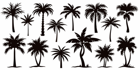 Tropical palm trees set silhouettes on white background 