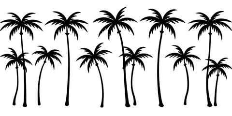Obraz premium Tropical palm trees set silhouettes on white background 