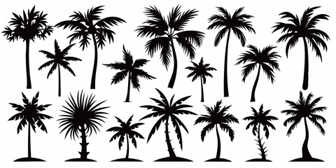 Fototapeta premium Tropical palm trees set silhouettes on white background 