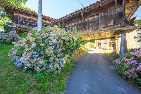 Typical Asturian horreos in Sietes village, Asturias, Spain