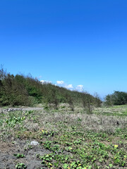 Obraz premium Playa Pascual Beach Scene - Serene Coastal Stock Photo | Peaceful Beach Scene with Blue Sky - Playa Pascual Stock | Coastal Landscape with Sand and Vegetation - Playa Pascual Detail