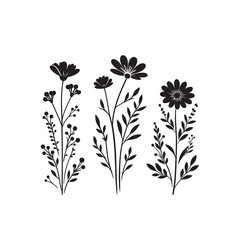 Plants and Flower Silhouette Vector Illustration