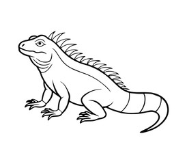 illustration of iguana