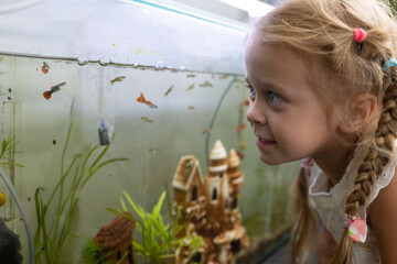 Little girl child looking at fishes in a home aquarium