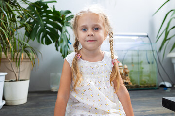 Little girl child looking at fishes in a home aquarium