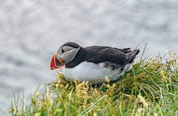 maskonur © Boarding Completed