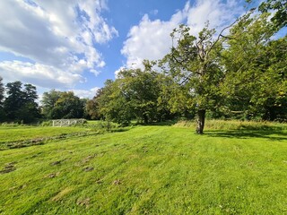 Obraz premium eine schöne Wiese in einem Park an der Münsterkirche in Bad Doberan, Mecklenburg - Vorpommern