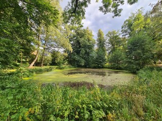 eine Teichlandschaft mit Wildwuchs in der Nähe des Klosters Münster in Bad Doberan, Mecklenburg - Vorpommern