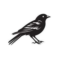 bird silhouette vector, isolated on white background, black and white silhouette, vector and illustration, silhouette style