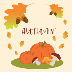 Vector fall themed card. Perfect for greeting card