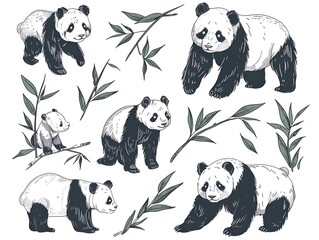 Set of various panda illustration on white. AI generated