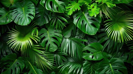 Fototapeta premium Beautiful green tropical leaves background, vibrant foliage, jungle depth. Perfect for nature concept, wallpapers, and eco themes.
