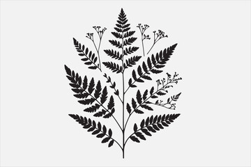 A Plant leaf  silhouette design. 