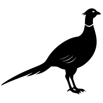 recommend clip art: silhouette of a pheasant vector