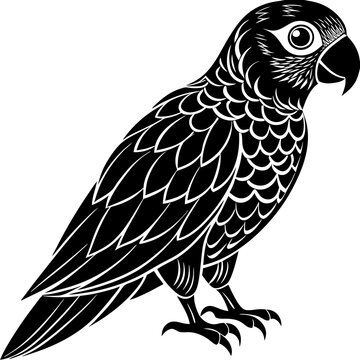 recommend clip art: Conure silhouette vector illustration