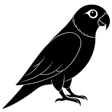 recommend clip art: Conure silhouette vector illustration
