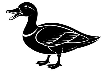 duck isolated on white