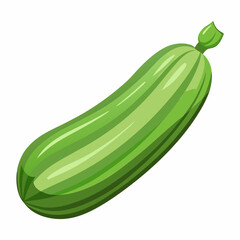 Art Nouveau Zucchini Vector on White Background