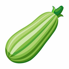 Art Nouveau Zucchini Vector on White Background