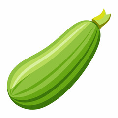 Art Nouveau Zucchini Vector on White Background