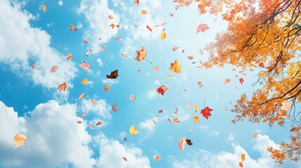 Crisp autumn day with leaves swirling in the wind cool weather