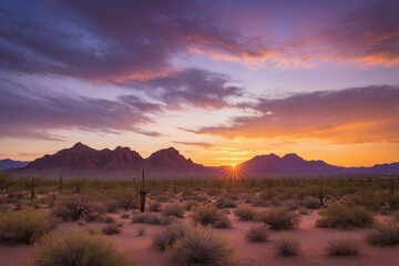 Fototapeta premium Vibrant desert sunset with golden rays and long shadows