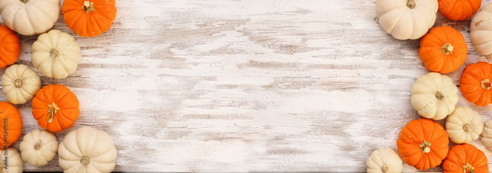 Poster autumn double border of orange and white pumpkins on a rustic white wood banner background. overhead