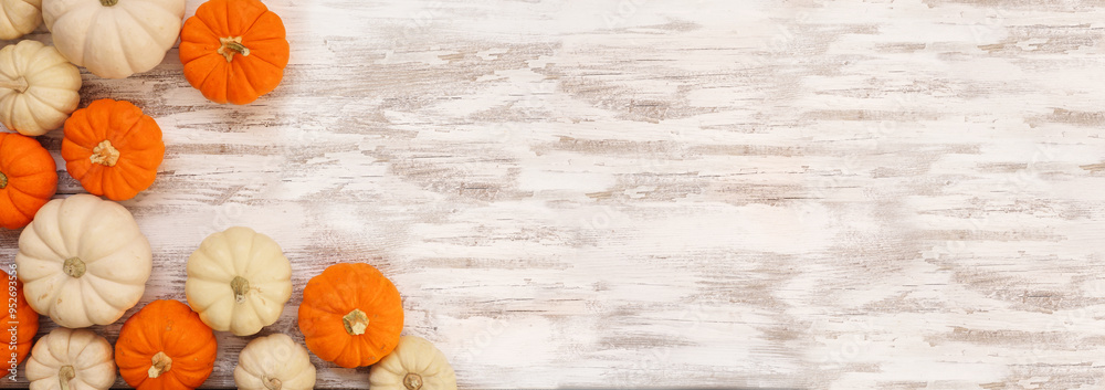 Poster autumn corner border of orange and white pumpkins on a rustic white wood banner background. top down