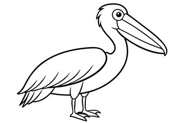 Pelican Line Art Vector Illustration