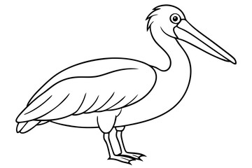Fototapeta premium Pelican Line Art Vector Illustration