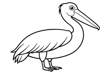 Pelican Line Art Vector Illustration