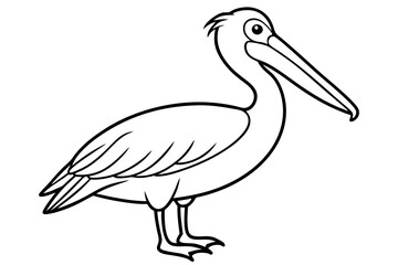 Pelican Line Art Vector Illustration