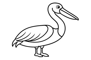 Pelican Line Art Vector Illustration