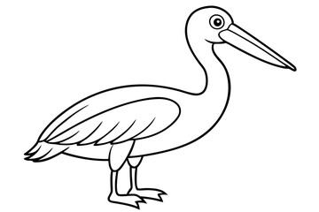 Fototapeta premium Pelican Line Art Vector Illustration