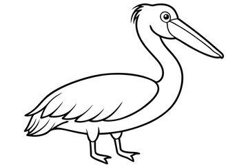 Pelican Line Art Vector Illustration