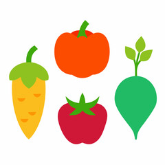 Set of 4 Vegetable Vector Illustrations on White Background