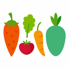Set of 4 Vegetable Vector Illustrations on White Background