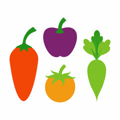 Set of 4 Vegetable Vector Illustrations on White Background