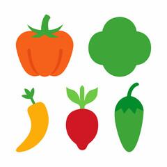 Set of 4 Vegetable Vector Illustrations on White Background