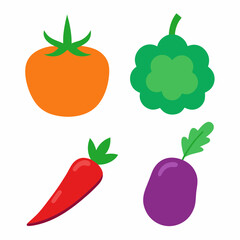 Set of 4 Vegetable Vector Illustrations on White Background