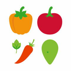 Set of 4 Vegetable Vector Illustrations on White Background