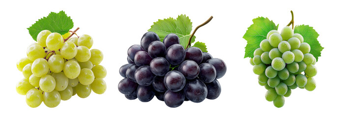 Three bunches of grapes in different colors isolated on transparent background