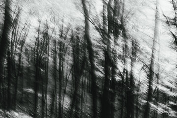 Fototapeta premium Lost in the middle of jungle 