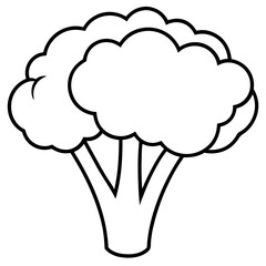 Broccoli Silhouette Vector Outline on White Background