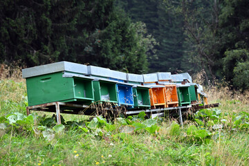 Multi-colored hives in the mountains