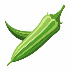 Okra Vector Illustration on White Background